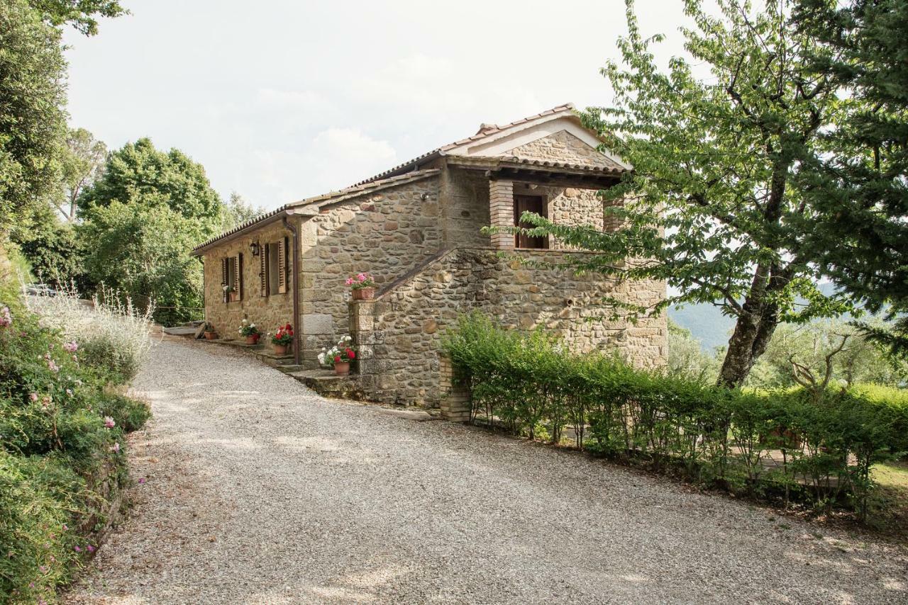 Casa Rancacci Guest House Mercatale  Exterior photo